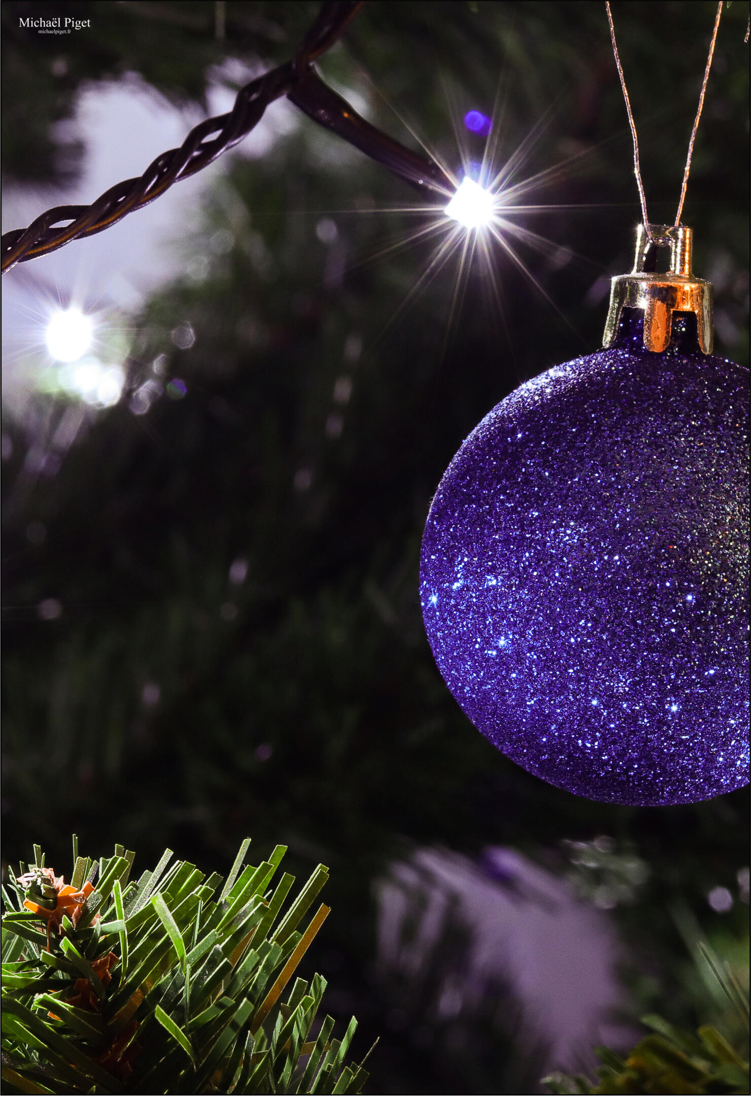 michael piget photographies, villandry, indre-et-loire, 37510, savonnières, ballan-miré, langeais, mode, nature, portrait, concert, mariage, famille, tours métropole, noir et blanc.