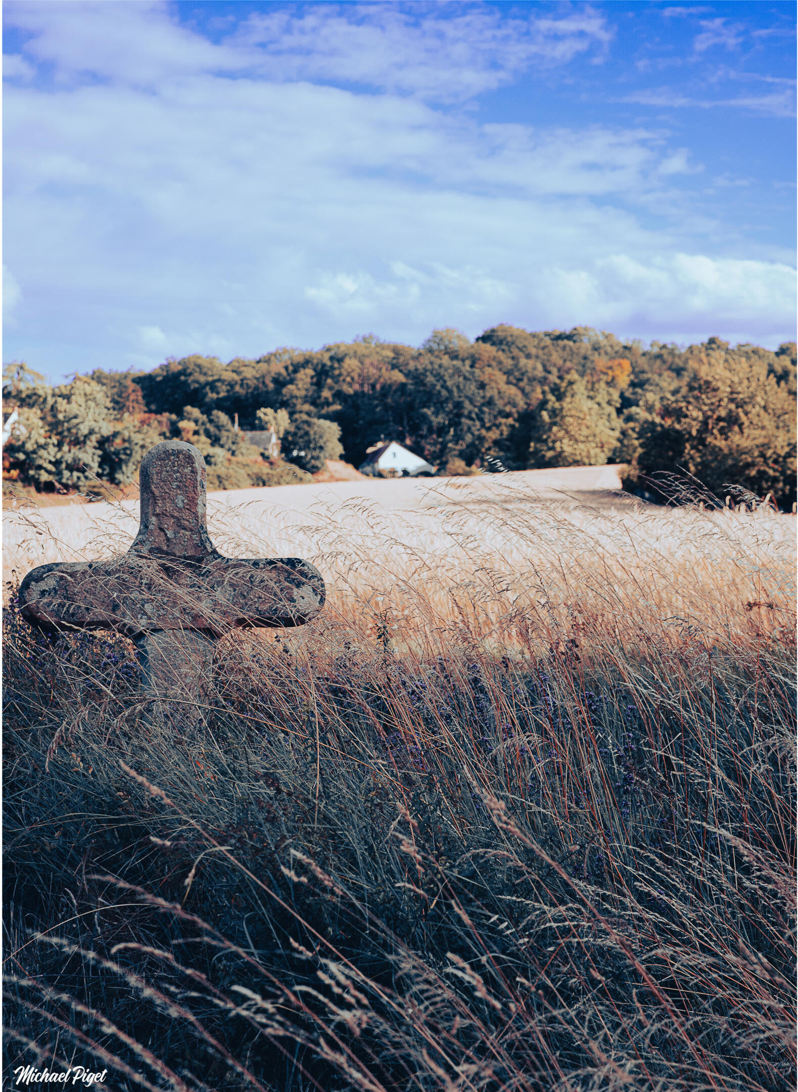 michael piget photographies, villandry, indre-et-loire, 37510, savonnières, ballan-miré, langeais, mode, nature, portrait, concert, mariage, famille, tours métropole, noir et blanc.